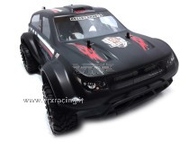 Rattlesnake N2 1/10 Off road con Motore a Scoppio GO.18 a 2 Marce Radio 2.4GHz 4 WD RTR VRX